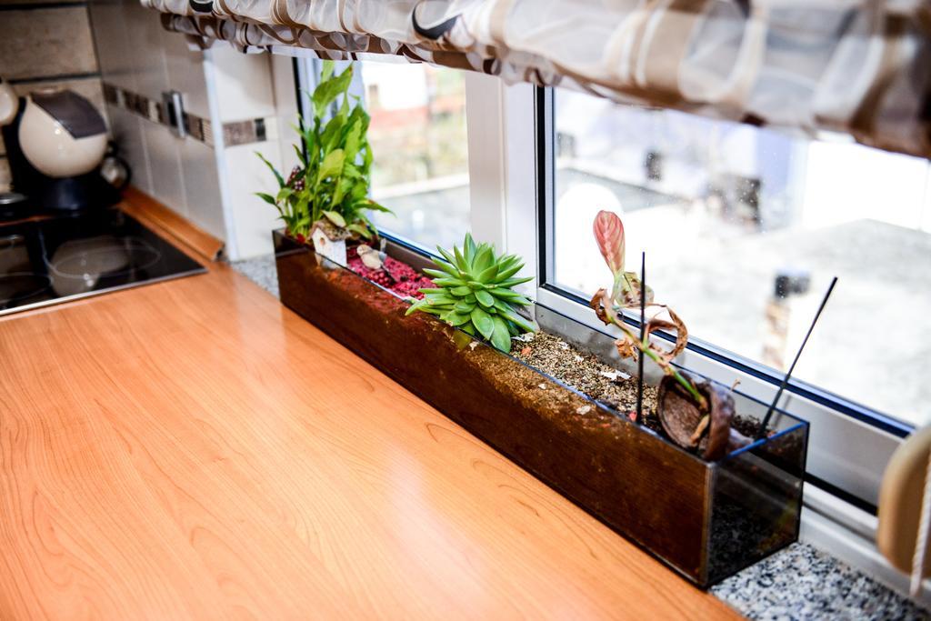Ksenija Appartement *
